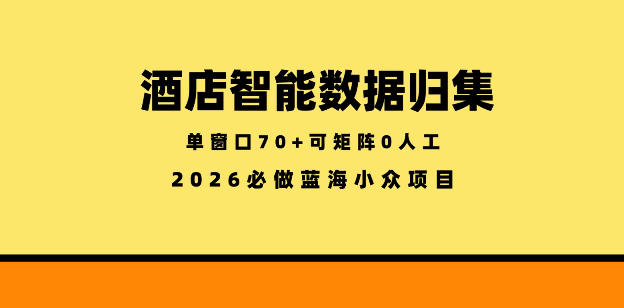 酒店智能数据归集,小众蓝海已经稳定半年之久,单窗口70+零成本矩阵开干【揭秘】-淘金社:轻创终点站