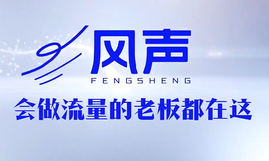 董十一·风声短视频AI获客年度会员-淘金社:轻创终点站