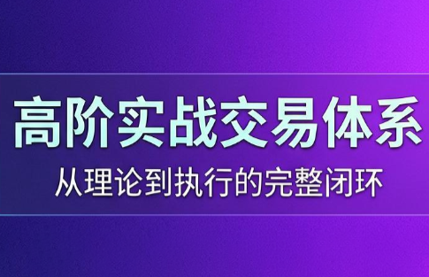 高老师·高阶实战交易体系(更新6月)-淘金社:轻创终点站
