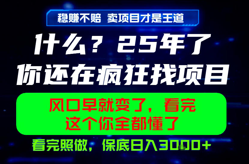 26年，请不要疯狂的找项目做了！卖项目才是真的稳賺不赔，看完照做，保底日入1k+【揭秘】-淘金社:轻创终点站