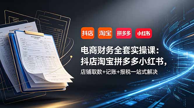 电商财务全套实操课：抖店淘宝拼多多小红书，店铺取数+记账+报税一站式解决-淘金社:轻创终点站