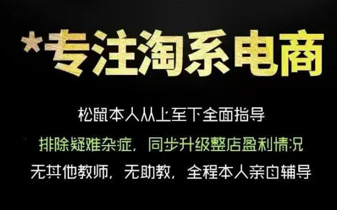 松鼠会电商VIP课程，从基础布局到高阶优化，助你掌握淘宝运营逻辑，提升店铺流量与转化-淘金社:轻创终点站