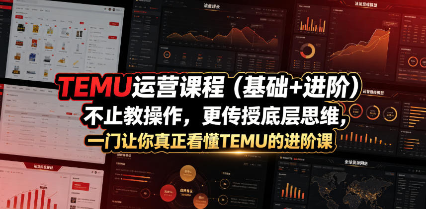 TEMU运营课程(基础+进阶)，不止教操作，更传授底层思维，一门让你真正看懂TEMU的进阶课-淘金社:轻创终点站