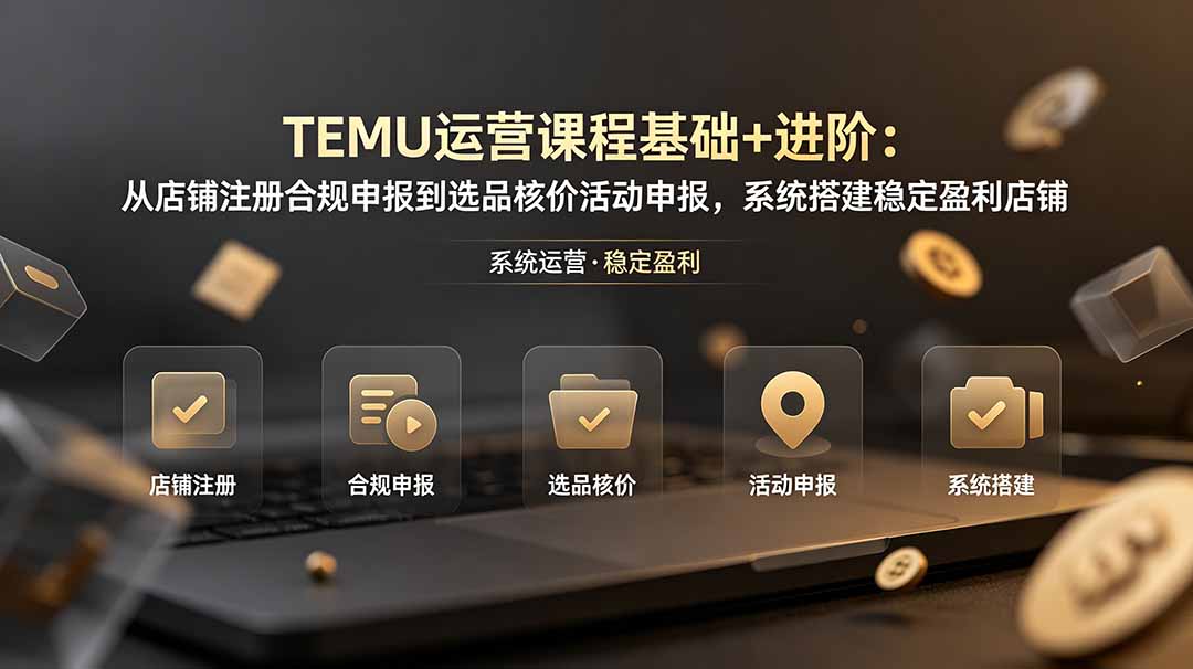 TEMU运营课程(基础+进阶-淘金社:轻创终点站