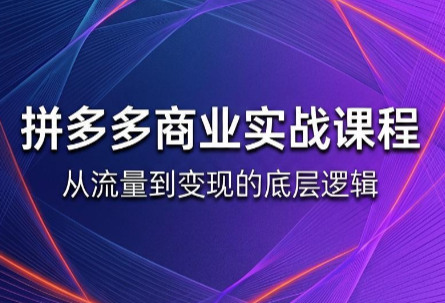 缥缈·2026拼多多课程(更新6月)-淘金社:轻创终点站