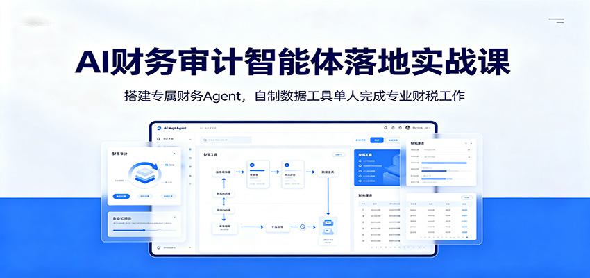 AI财务审计智能体落地实战课：搭建专属财务Agent，自制数据工具单人完成专业财税工作-淘金社:轻创终点站
