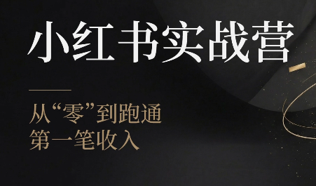 金金老师·小红书实战营-淘金社:轻创终点站