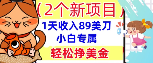 2个新项目，轻松挣美金， 1天收入89美刀，小白专属，干货分享-源创文化:轻创终点站