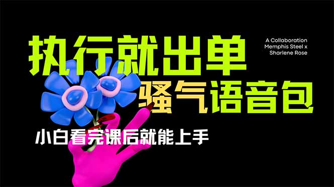 （14170期）爆火全网的开车导航骚气语音包,只要执行就出单，小白看完课程就能实操...-源创文化:轻创终点站