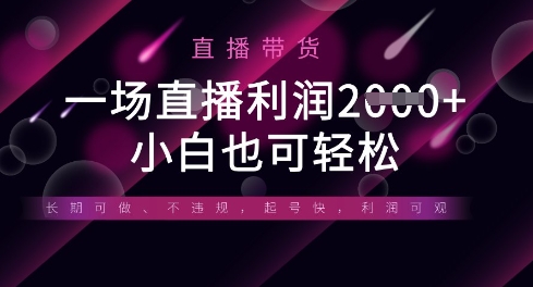 半无人直播带货，一场利润数张，适合所有平台玩法，小白也可轻松-源创文化:轻创终点站